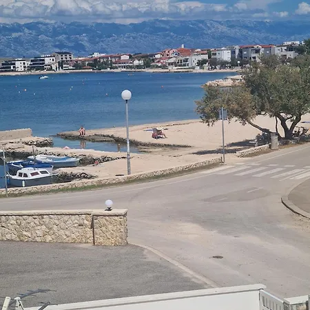 Ruzmarin * Vir