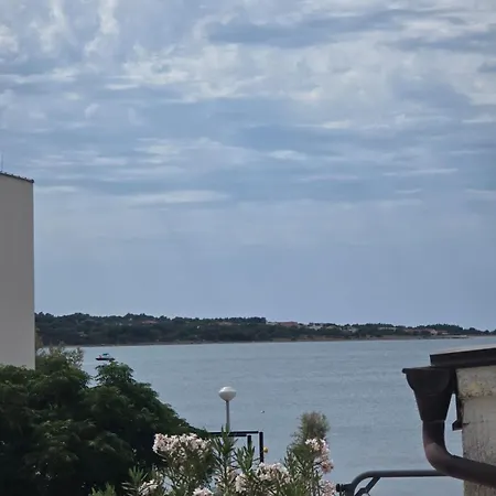 Ruzmarin Apartment